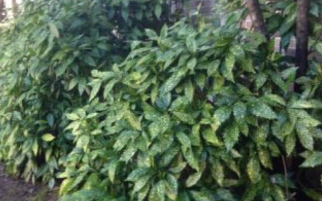 Address the Problem at the Source